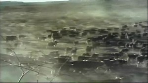 Watch Gunsmoke Season 13 Episode 2 - Cattle Barons