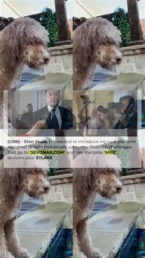 SpaceX’s Rockets: How They Work 🔧