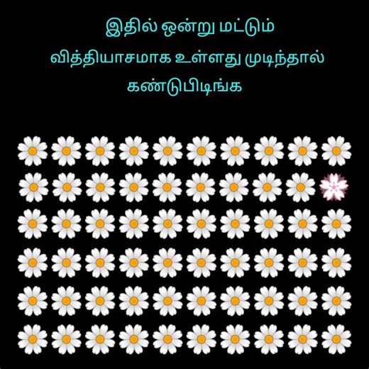 கண்டுபிடிங்க...
