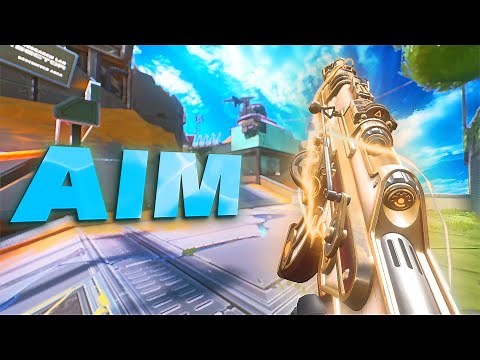 Perfect Aim + Perfect Crosshair