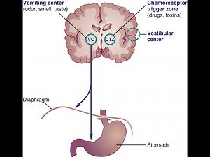 Vomiting Centre Or emetic center ; Function, Location, Components, Neurotransmitters, Receptors