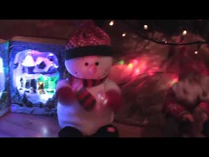 Trying to Build the Most Beautiful Christmas Tree (Time Lapse) 2013 by the Christmas Family