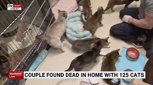 Couple found dead in New York home with over 125 cats discovered inside