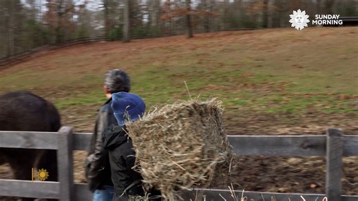 Amanda Seyfried is refreshingly honest, from her roles in movies like the forthcoming "The Testament of Ann Lee" and "The Housemaid," to her battling serious anxiety and OCD – obstacles she says often help her as an actor. She talks with Turner Classic Movies host Ben Mankiewicz about living a grounded life on her Upstate New York farm, and about how far she's come from "Mean Girls." | CBS Sunday Morning