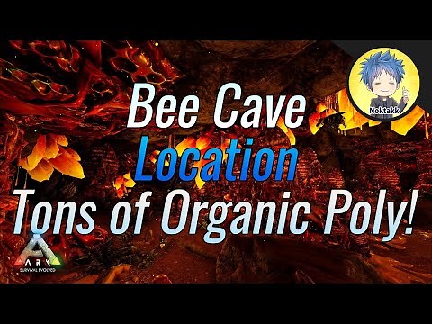 Crystal Isles Bee Cave Location ARK SURVIVAL EVOLVED
