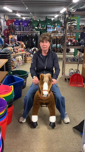 We have a new team horse at Harley and of course Tracey took it for a spin @ponycycle.uk | Harley Equestrian, Country Lifestyle Shop & Cafe