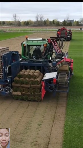 Turf harvester #followerseveryone #reactionreels #reaction #machine #heavyequipment #technology #harvester #turf #grass | Marchijoy Lopez Camacho