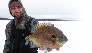 Winter Panfish: Tricks & Practical Tips - In-Fisherman