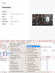 Download video files from asset library/website