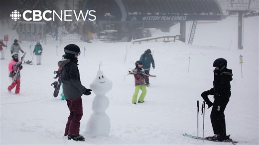Mount Seymour development plan proposes new lifts, cabins and gondola