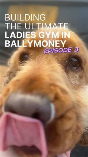 𝗘𝗽𝗶𝘀𝗼𝗱𝗲 𝟯 𝗼𝗳 𝗟𝗮𝗱𝗶𝗲𝘀 𝗟𝗮𝗱𝗶𝗲𝘀 𝗚𝘆𝗺 𝗼𝗳 𝘁𝗵𝗲 𝗬𝗲𝗮𝗿: 𝗚𝗹𝗼𝘄 𝗨𝗽 𝗶𝘀 𝗹𝗶𝘃𝗲 💜 This week was about precision. ↳ A three-hour round trip to preview our new rack system ↳ Remeasure. Remeasure. Remeasure. Making sure everything is built to the exact right centimetre ↳ Testing purples on the walls and choosing the exact Forge shade ↳ Designing the Personal Training room to feel powerful and warm This isn’t just an upgrade. It’s an elevation of the Ladies Gym of the Year