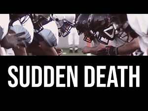 A Pit Bull Adoption Disaster: Animal Aggression, Anti-Anxiety Medication, Ceasing to Document Behavior and More