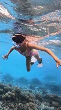 Coral reef 🪸 Fiji #snorkeling #coral #fiji #mermaid #ocean #underwater #trip #sea #sealife #diving