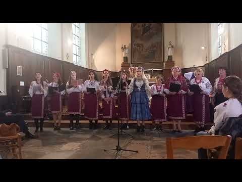 Concert Franco-Ukrainien, abbaye de Dol-de-Bretagne, samedi 7/03/26.
