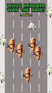 284K views · 949 reactions | Who won the race? 樂 #brainwavegametime #brainteaser #MindGames #quizshow #game #quiz #puzzle #IQ #trivia #gk #riddle #guessinggame #generalknowledge #math #puppies #kittens #cuteanimals #NASCAR #cars #speedracer #hotwheels #hotrods #christmasgames #christmas2024 #christmas #xmas #santa #santaclaus #reindeer #reindeergames | BrainWave Game Time | Facebook