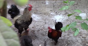 Video by Erkan Avanoğlu on Pexels