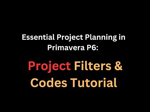 Step-by-Step Guide to Project Filters & Codes for Project Planning in P6