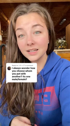 46K views · 1.8K reactions | There’s absolutely a “science” to this, because not all foxes can be friends. Here’s a detailed answer to the loaded question of, “How do you decide which foxes to pair together?” | Arctic Fox Daily Wildlife Rescue, Inc. | Facebook