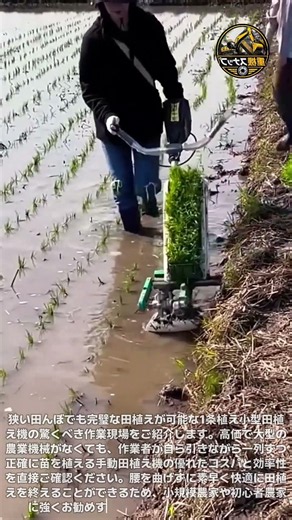 コスパ最強の1条植え田植え機の実機レビュー！狭い棚田も問題なく一人でスムーズに終わらせる驚きの性能 #手動田植え機 #農業初心者 #スマート農業 #農機具 #稲作準備 #農繁期