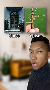 Do you know any other English heteronyms / homonyms❓🤔 Homonym = Same spelling and/or pronunciation but different meaning / origin. Homophone = Same pronunciation but different meanings and often different spellings. Heteronyms = Same spelling but different pronunciations and meanings. Follow to immerse yourself in English every day❗️📈 #English #EnglishTips #EnglishTeacher #TOEFL #ESL #EnglishLanguage #Reels #Explore | ARC English