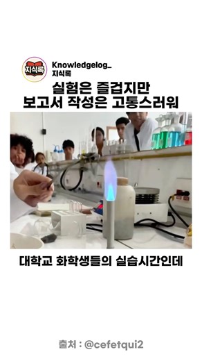 실험은 즐겁지만 보고서 작성은 고통스러워
