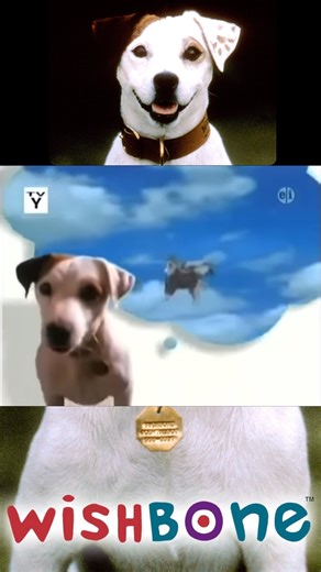 Retro.Replay.Rich on Instagram: "🐶Wishbone was one of those PBS series that was on when I’d get home from school. Some of these theme songs are engraved into my childhood memory. #nostlagia #90skid #tv #pbs #wishbone"