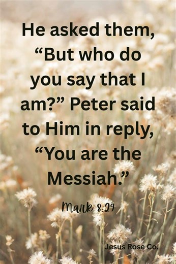 Catholic Bible Study | Mark 8:29 | Jesus Rose Co. ✝️