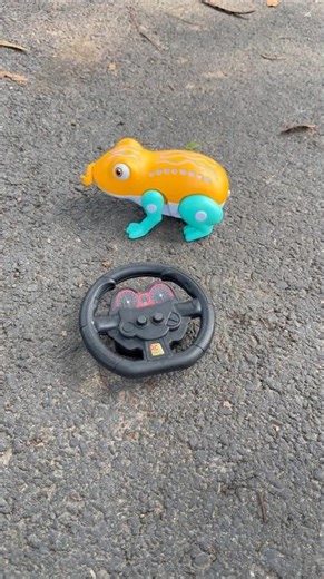 New Rc Animals Frog Toy With For Testing 🐸