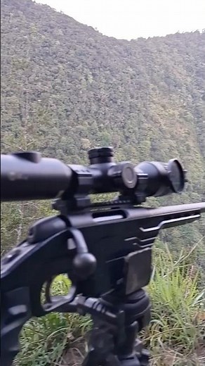 steyr mannlicher pro hunter 308