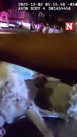 Police revive dog left in burning home