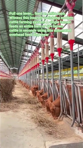 Feeding 50+ Cows in 10 Seconds! Insane Farm Tech You Must See! #Shorts #AgriTech #SmartFarming