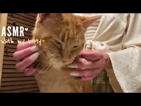 Kitty ASMR To Make Your Heart Melt & Smile 😽 Lofi Scratches, Mouth Sounds, Purring, Whispering