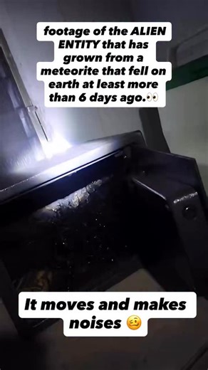 272K views · 2.5K reactions | footage of the ALIEN ENTITY that has grown from a meteorite that fell on earth at least more than 6 days ago. | Tara Shalane | Facebook