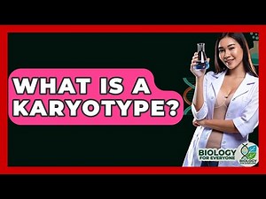 What Is A Karyotype? - Biology For Everyone
