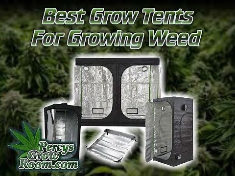 Best Grow Tents for Growing Weed