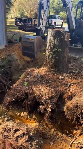 Clearing the way for a cleaner, safer yard. Our stump removal services make it easy to reclaim your space and prep for fresh landscaping or construction. McDonald Land Services Call today for a free quote! 334-201-7864 334-391-0080 | McDonald Land Service LLC