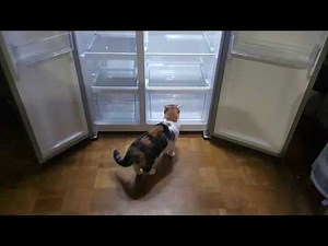 Unboxing PKM Side by Side Kühl-Gefrierkombi