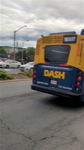 Quick DASH bus action.