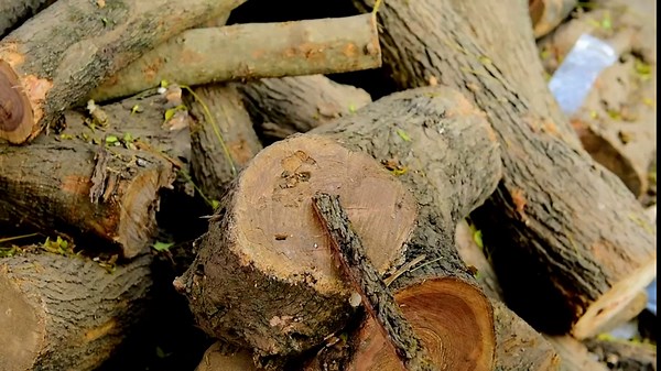 Dessi Viking Axe Damascus Steel Hatchet Tomahawk with Leather Sheath - Hand Forged Camping Axe Walnut Wood Handle Tiger Engraving, Bushcraft Outdoor Tool Gift for Men SM48