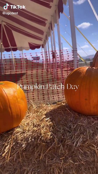 Essential Fall Jackets for Layering Season from SHEIN