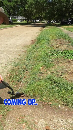 There was a garden in the middle of the yard-NOT ANYMORE! #fyp #viral #asmr #lawncare #cleantok #transformation