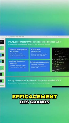 Python et Bases de Données La Connexion Essentielle