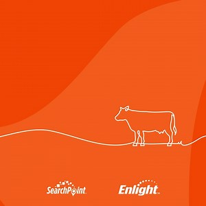 14K views · 15 reactions | Finding the most productive heifers is only the first step. Zoetis genetic testing solutions include management tools to analyze genomic data and turn insights into decisions.​ https://zoetis.us/3AziPFj | Zoetis Dairy | Facebook