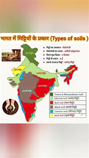 भारत की मिट्टी के रोचक तथ्य 🌱| Soil Types of India | #indiansoil #gk #shorts #geography