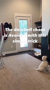 778K views · 1.3K reactions |  Puppies naturally bark at unexpected...
