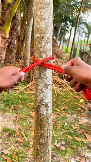 Strong Rope Knot for Tree Trunk 🪢🔥 | Easy Tension Lock (No Slip Outdoor Knot)