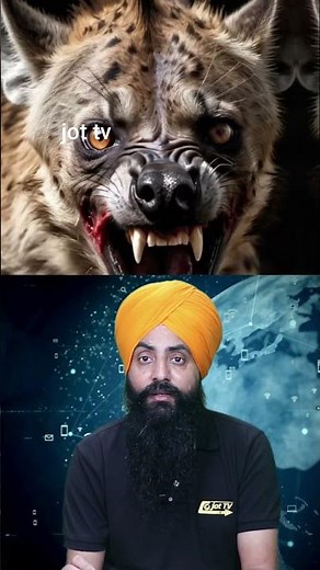 Nature's Orchestra: Relaxing Forest Animal Sounds #ForestAnimalSounds #RelaxingSounds #NatureSounds