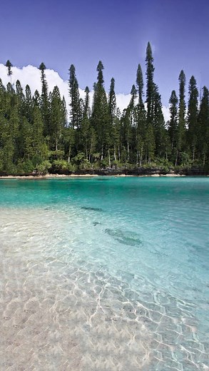 Sarah Harris on Instagram: "When you find the perfect holiday knit x bikini combo 凉"