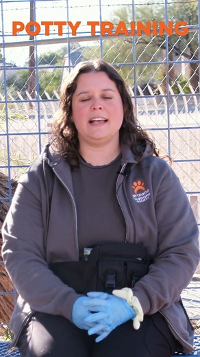 Uh oh, did someone potty in the house? No stress, we are here to help!🫡 For the last day of #NationalTrainYourDogMonth, our Behavior Team helps give some tips for potty training and setting a routine for your pup. Remember, training takes patience and pawsitive reinforcement! If you need more help and guidance, we have one-on-one training courses available at AHS, your home, or even virtually! Now through the whole month of February, you can use the promo code: SITFOR20 for 20% off lesson packa