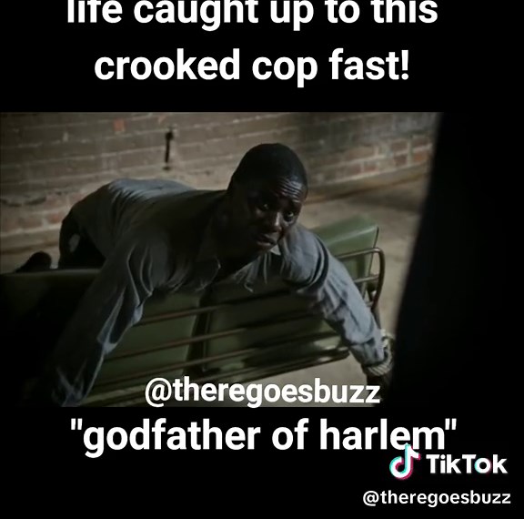 #movie #comedy #reels #funny #fyp #voicoever #commentary | Godfather Of Harlem